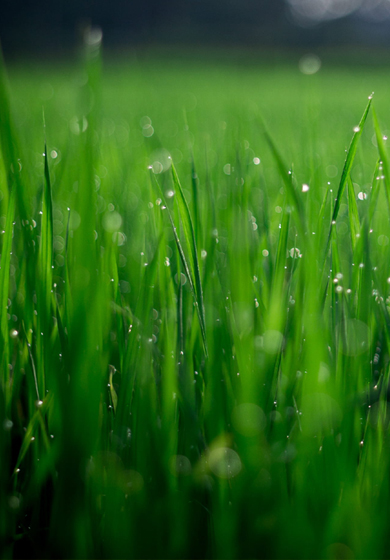 日韩精品一区二区三区色欲AV