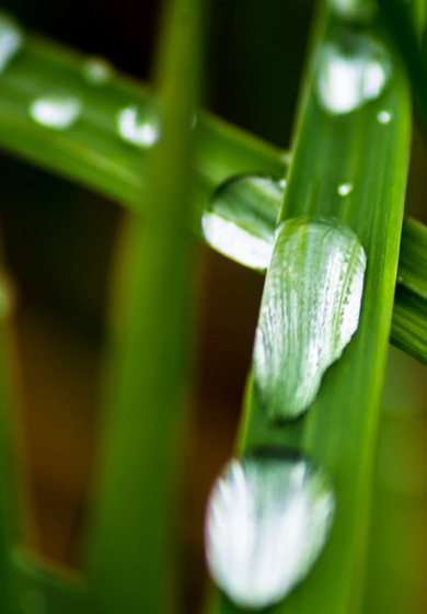 日韩精品一区二区三区色欲AV