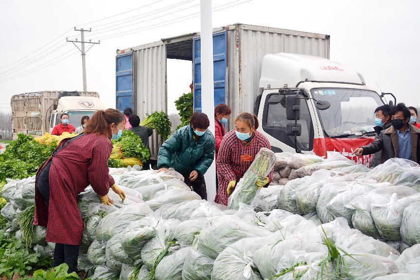 日韩精品一区二区三区色欲AV