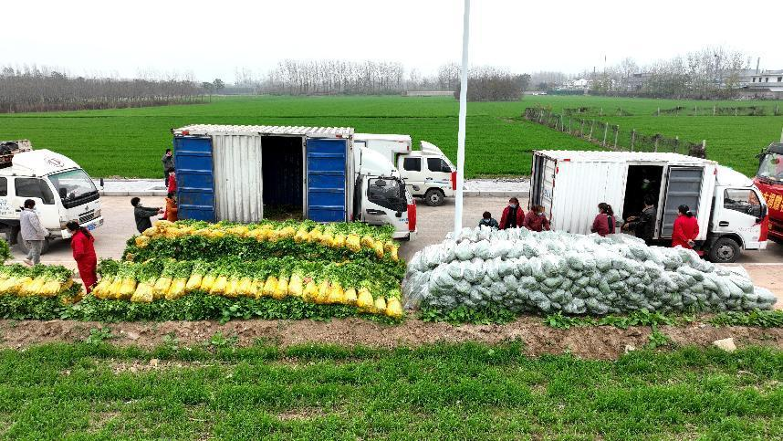 日韩精品一区二区三区色欲AV